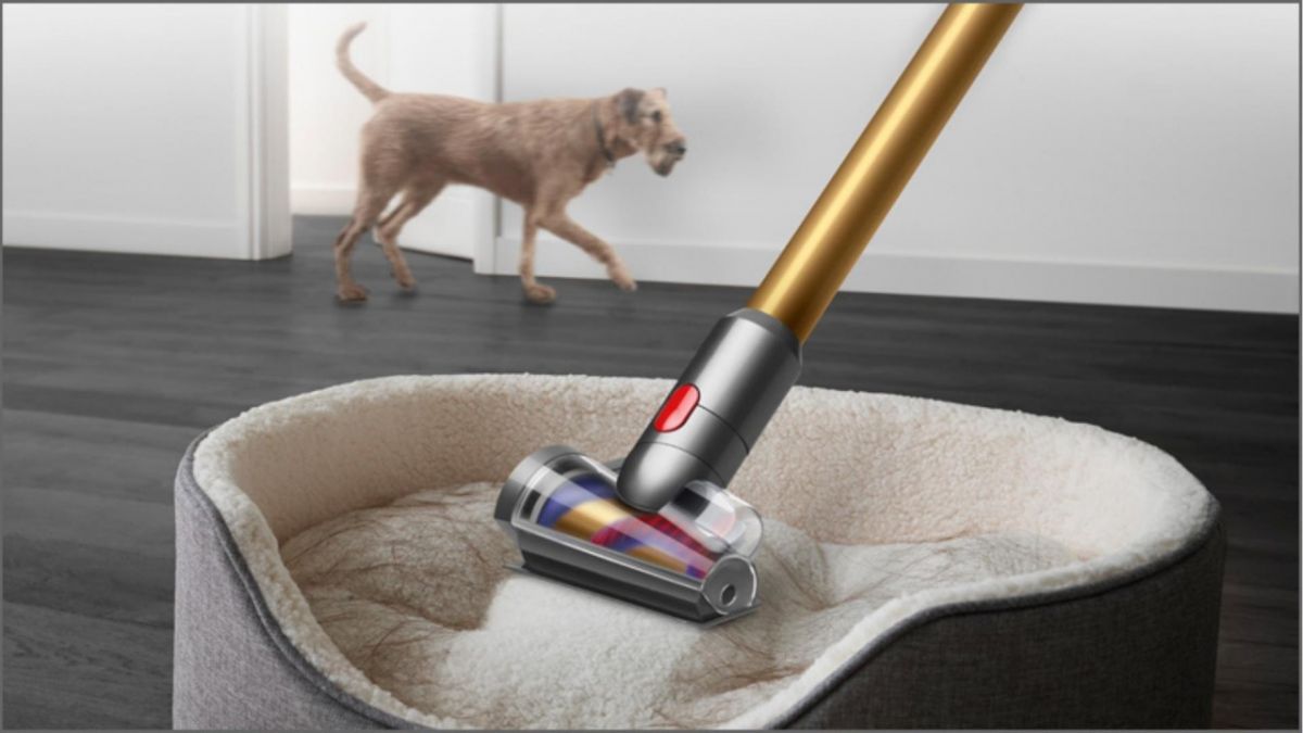 Dyson V15 Detect Plus